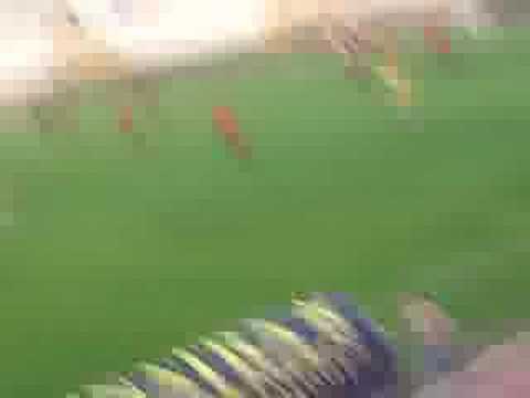 Gol de Jito (Mallorca B 1-2 Orihuela -3ª División española-)