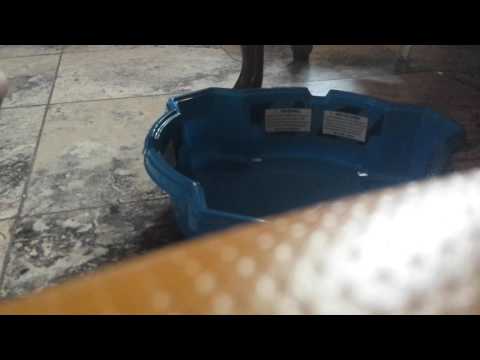 Dark deathsither vs acid anubis