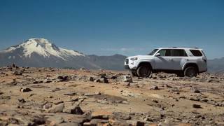 Little Five Points by Joyce Cooling