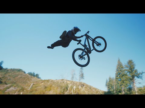 Carson Storch - Electric Beaver