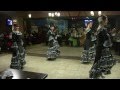 Танцевальная группа "Терра-Dance" - Фламенко - "TV shans" 