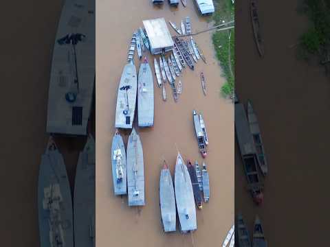 Um pouco da vivência no Rio Juruá, Cruzeiro do Sul / Acre.🌳🦅