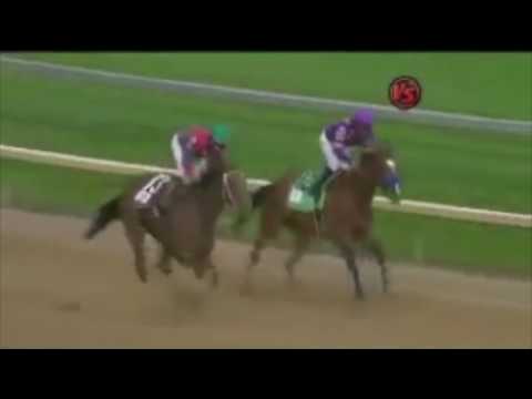 Kentucky Oaks Stretch Runs 2009 2016