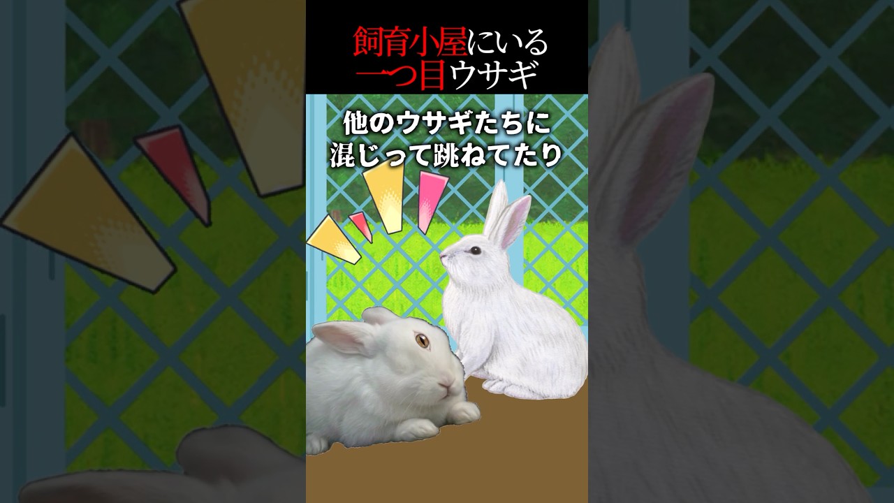 飼育小屋には変なウサギがいる…【怖い話】