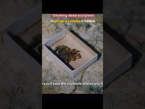 Dead Scorpion Smoking Experience in Pakistan: A Must-See #shorts