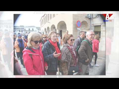 Fotoalbum XXV muestra almendro en flor