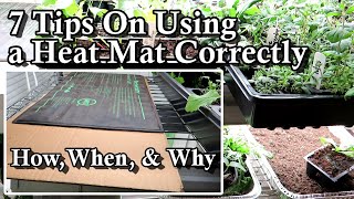 7 Tips on How & When to Use a Heat Mat on Garden Seed Starts