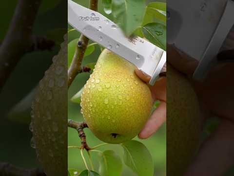 Smart fruit cutting Delicious red apple cutting - Farm fresh  fruit cutting 🍉🍈
