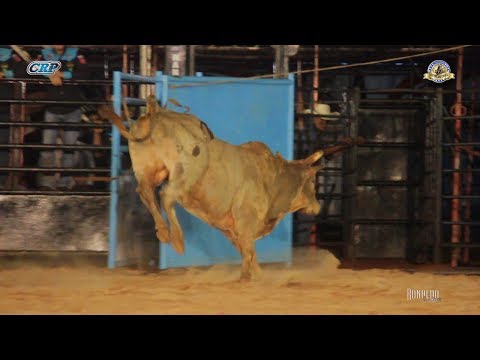 Rodeio de Osvaldo Cruz 2018 - QUINTA FEIRA / MELHORES TOUROS