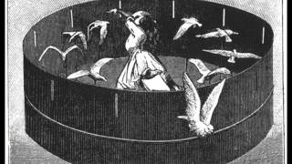 Roedelius Geradewohl (1980)