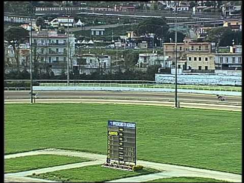 Trotto 01/04/2016 - prova di qualifica