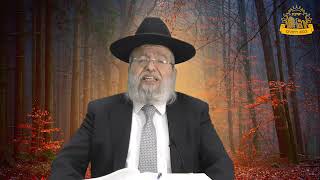 דף היומי בחצי שעה - יבמות דף י'