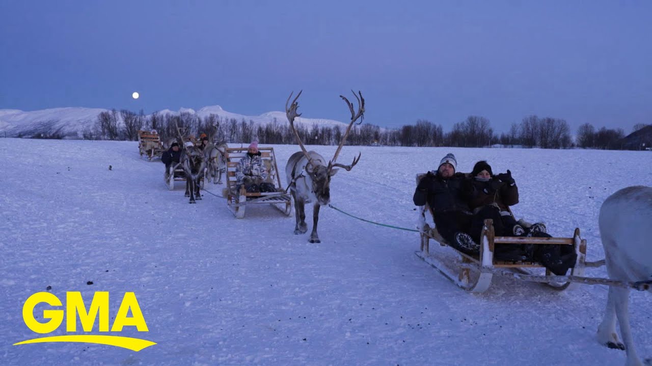 Meet the Indigenous people herding reindeer in Norway, Finland and Sweden
