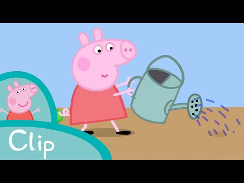 Peppa Pig Episodes - Growing strawberries (clip)