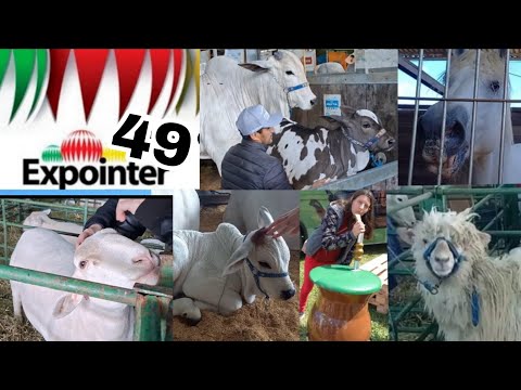 49° Expointer 2026 / maior feira Agro / último dia #riograndedosul #expointer #viral #agronegócio
