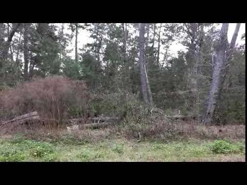 Lots And Land for sale - 0 SW 106 Street, Ocala, FL 34476