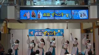 暁２　４K～「愛媛よさこい ～夏の陣～ 彩の舞～」