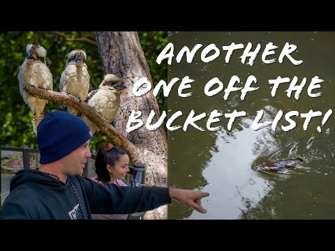 Lap of Australia EP:19 - Mackay Region, QLD - Eungella Camping, 4x4 Tracks, Wildlife & Waterfalls