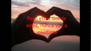 Nunca voy a olvidarte - cristian castro(con letra)