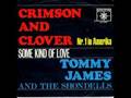 Tommy James And The Shondells - Cats Eye In The Window