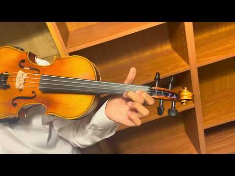 Hidersine Violin Venezia 3/4 WV100SRA34 image 26