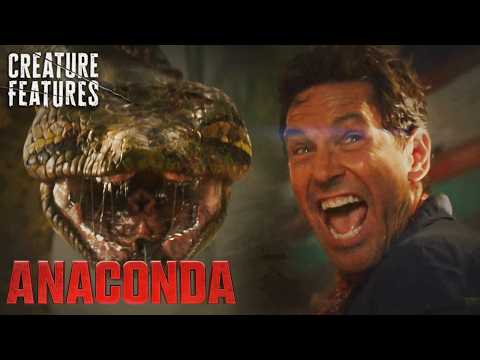 Epic Giant Anaconda Explosion