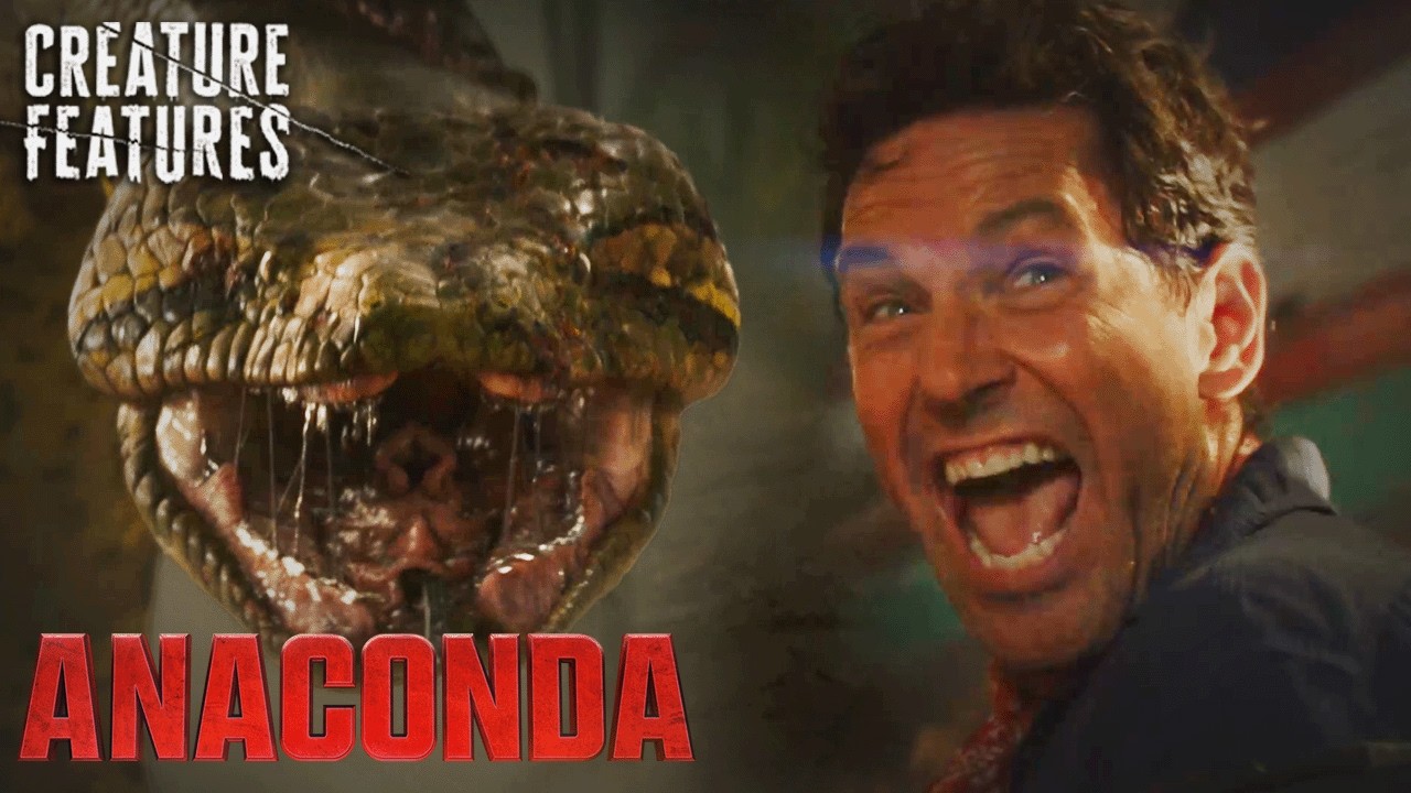 Anaconda — Epic Giant Anaconda Explosion
