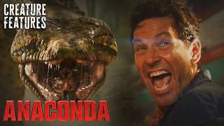 Epic Giant Anaconda Explosion