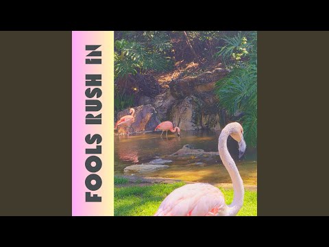 Fools Rush In