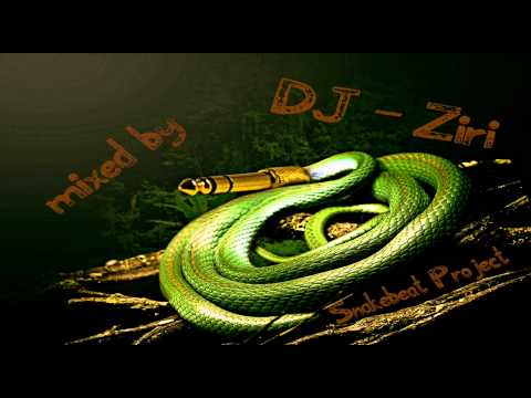 Snakebeat Project Special Mix # 13 DJ Langmann vs. DJ - Ziri