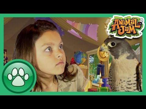 Wild Explorers - Meet a Falcon!