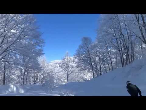 Winter magic in Nozawa Onsen