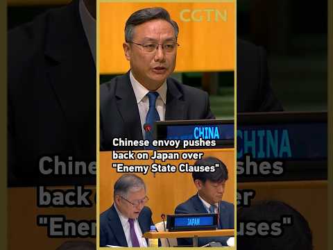 UN Charter 'Enemy State Clauses' should stay: Chinese envoy