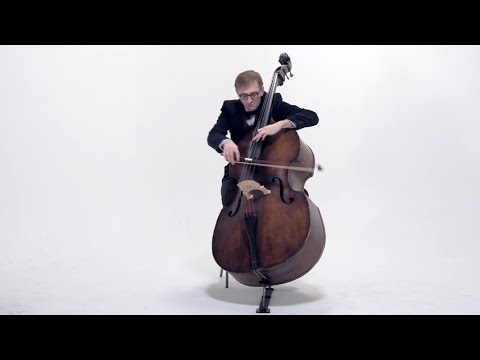 Alexander Muravyev "Cheshire Cat" | CLIP (Double Bass Solo)