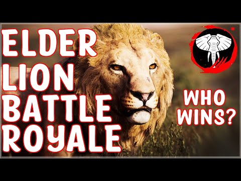 ELDER LION BATTLE ROYALE 🦁 Animalia Survival Game EVENT