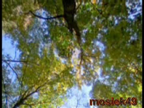 PRZESŁANIE - masz tylko jedno życie ...