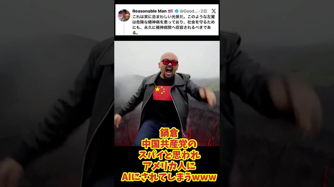 しばき隊海外から批判される