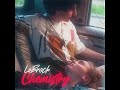 LEBROCK - Chemistry
