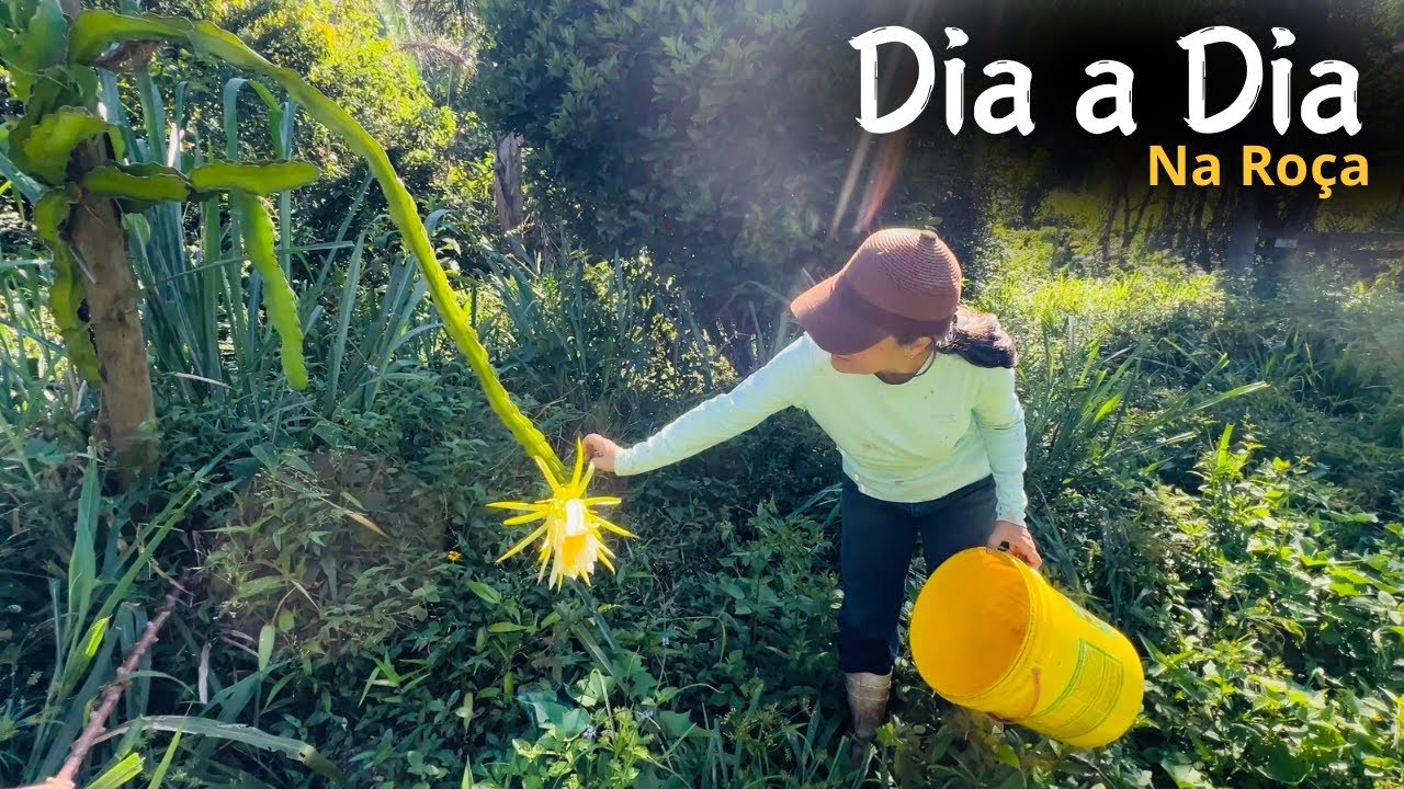 SURPRESAS E DECEPÇÃO NO SÍTIO/Bora pra Roça?