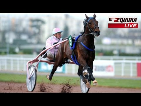 PRIX D'AMÉRIQUE 2010 : OYONNAX