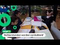 Scholen vragen vaker hulp van bijlesbedrijven