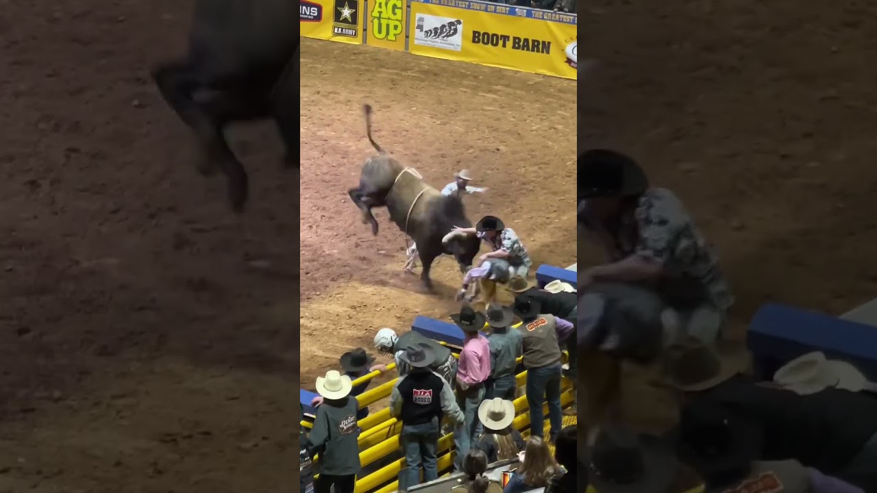Rodeo Clown Hit By Bull. Dangerous Bull Riding. Rodeo.