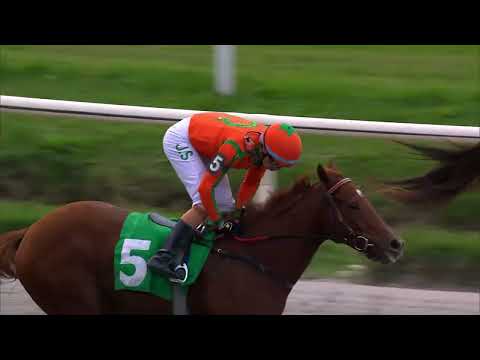 230520 c05 - MARY THE BEAR (BRZ) - HIPODROMO DE MARONAS