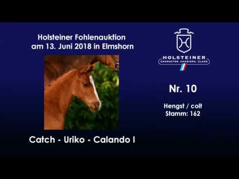Holsteiner Fohlenauktion im Juni | Nr. 10 v. Catch-Uriko