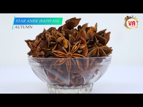 20a star aniseed autumn, packaging size: 5 kg box