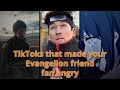 TikToks That Made Your Evangelion Friend Fan Angry