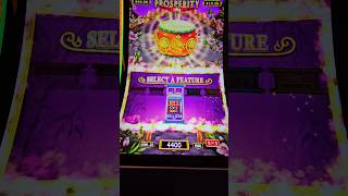 #dancingdrums Prosperity #maxbet $10/bet #casino #gamble #slotmachine #slot Big Win! #bonusgame