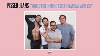 Musik-Video-Miniaturansicht zu Worldwide Marine Asset Financial Analyst Songtext von Pissed Jeans