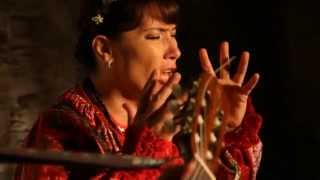 Afozic, Aperçu Vidéo