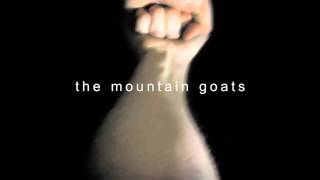 Dilaudid (Marrtronix Version) - The Mountain Goats